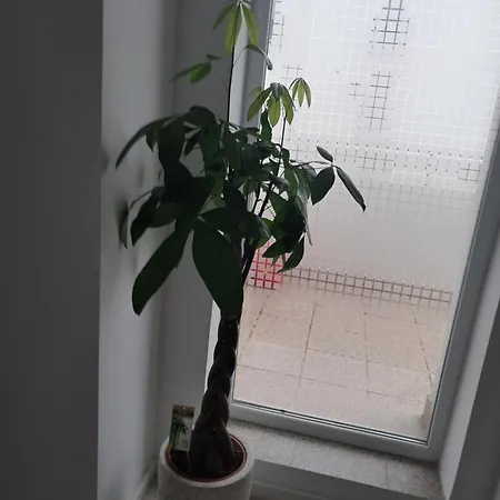 Lumihome Appartamento